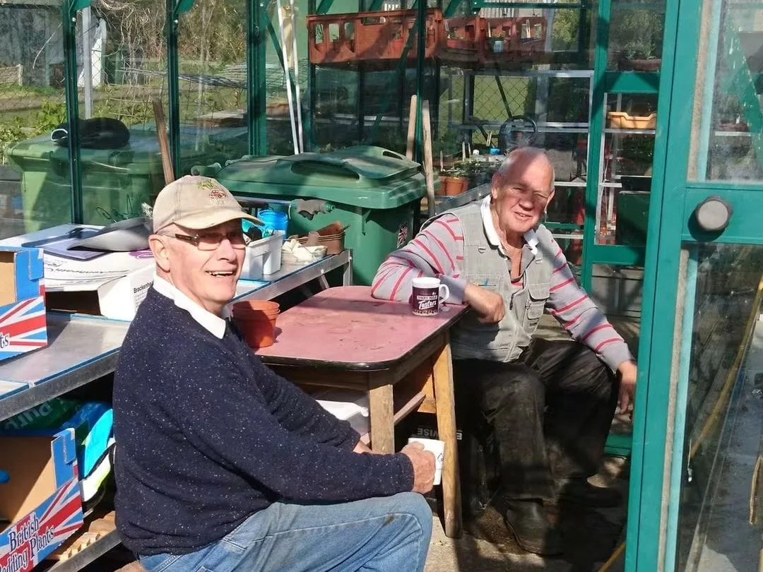 The allotments at Golborne Parkside