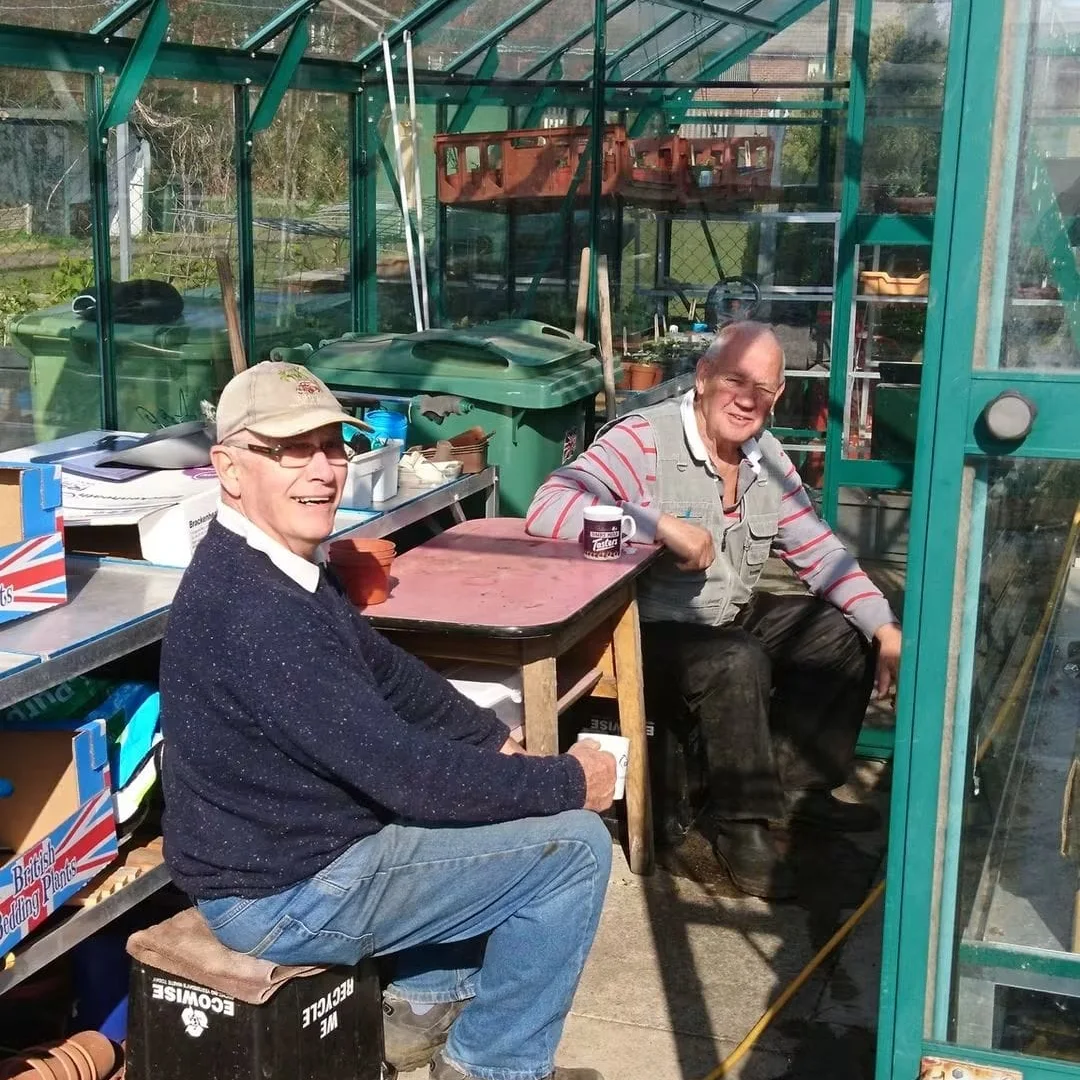 Allotments at Golborne Parkside